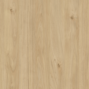 300Wx300H-arauco-copal0
