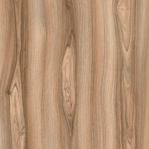 Arauco-Latte1