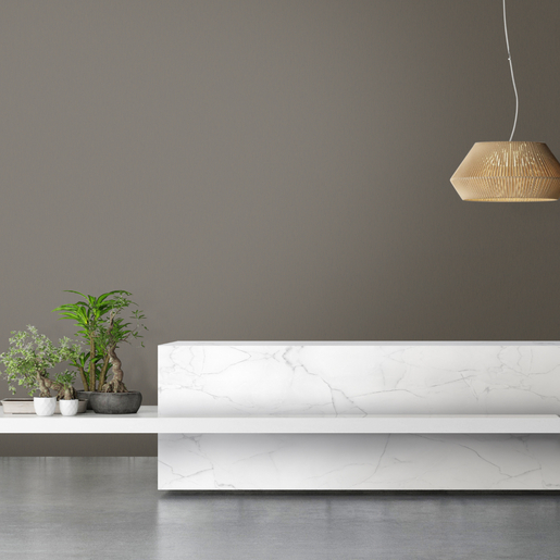 Marble Reception Office Table with plants on concrete background wall , 3d illustration